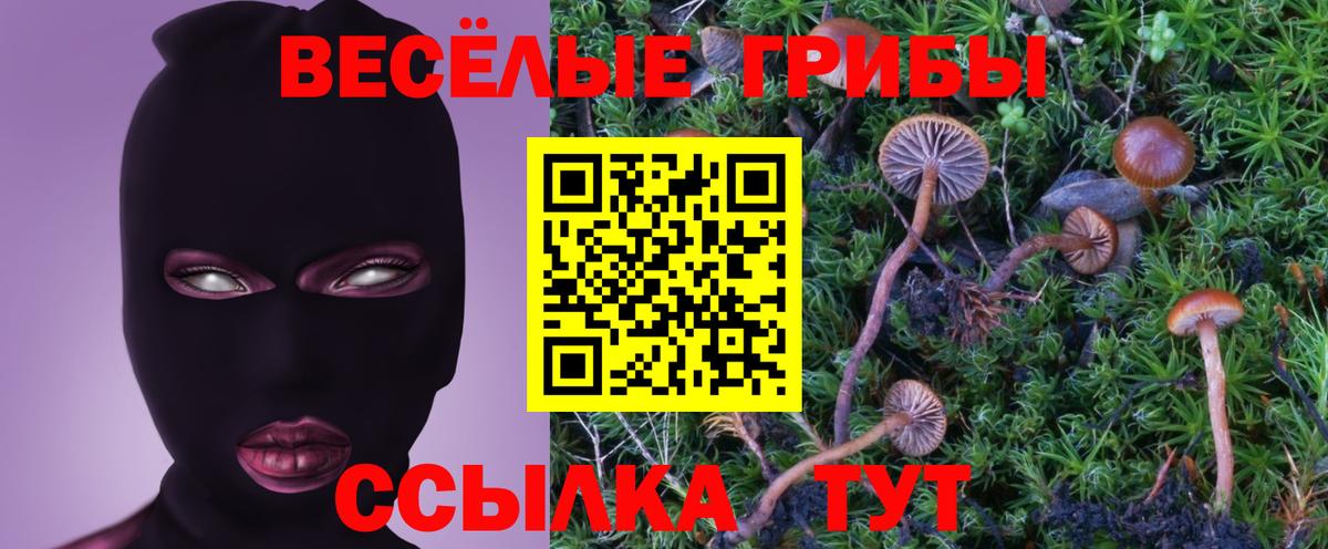 Карпинск  Псилоцибиновые грибы MAGIC MUSHROOMS  Галлюциногенные грибы мицелий  Вход с VPN 